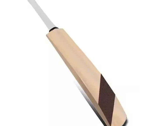Willow Cricket Bat – Handmade Professional Cricket Bat