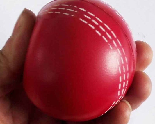 Shop a durable 6.3CM Soft PU Cricket Ball designed for training, practice and recreational cricket. Lightweight, attractive and suitable for players of different ages.